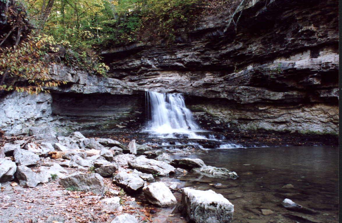 a creek in the woods with a waterfall
